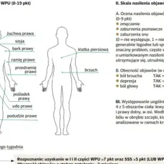 Schemat przedstawia lokalizację bólu w fibromialgii. Wskazuje obszary ciała, gdzie może występować ból, pomagając zrozumieć, co to jest fibromialgia.